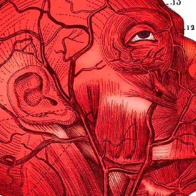 Chuck Palahniuk soffocare