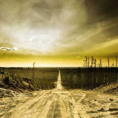 Cormac McCarthy, la Strada