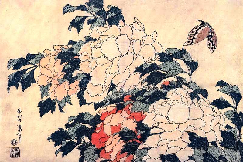 Katsushika Hokusai, Peonie e farfalla