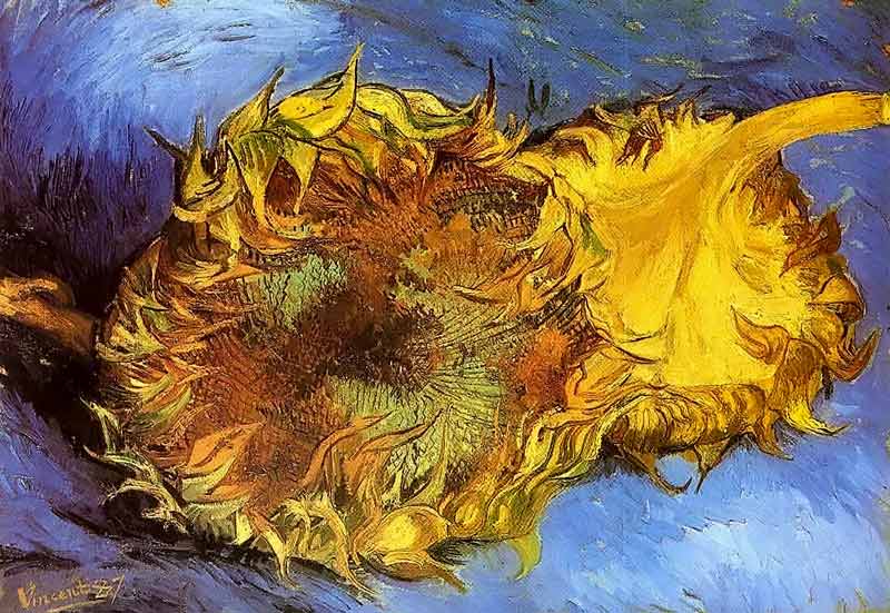 Van Gogh, natura morta con due girasoli, 1888