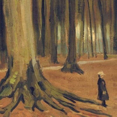 Romain Gary, La vita davanti a sé / Vincent Van Gogh, Ragazza nel bosco, 1882