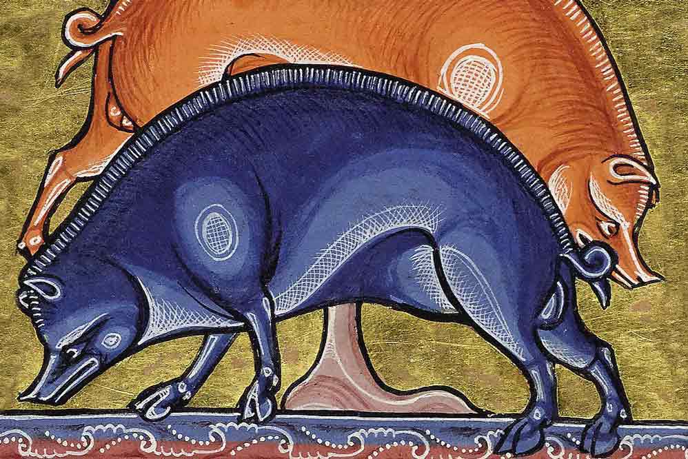 Animali nel medioevo