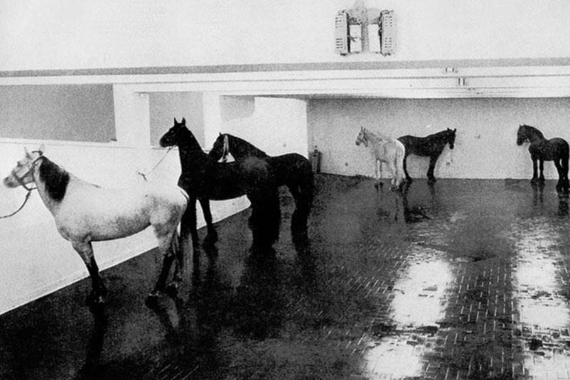 I cavalli di Kounellis del 1969