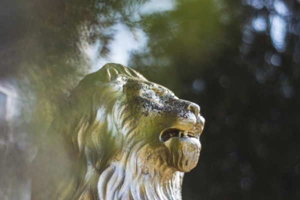Il leone nel medioevo: la conquista di un regno