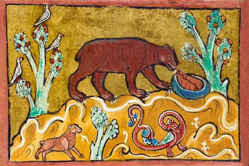 L'orso nella letteratura medievale
