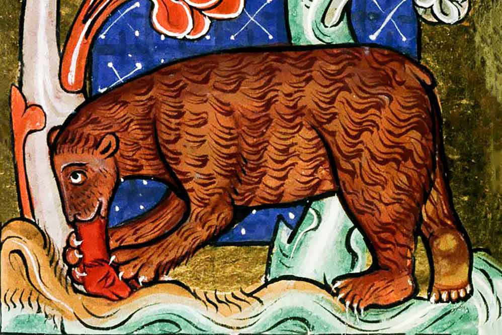 L'orso nella letteratura medievale