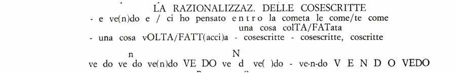 La razionalizzazione delle cose scritte Patrizia Vicinelli