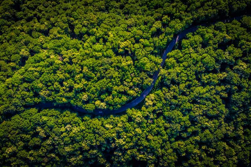 Veduta dall'alto dell'Amazzonia