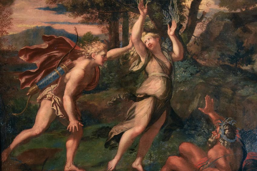 Giovanni Angelo Canini (attribuito), Il mito di Apollo e Dafne, circa 1650, olio su tela, collezione privata.La ninfa Dafne, per sfuggire alle indesiderate attenzioni di Apollo, si trasforma in un albero di alloro (in greco antico appunto Δάφνη, Dáphne corsivo); il dio, scornato per non aver conquistato la fanciulla, coglie alcune foglie della nuova pianta e ne fa una corona, così da portarla sempre con sé quale suo simbolo. Il celebre mito, narrato da Ovidio nelle Metamorfosi (corsivo) non spiega solamente un attributo primario dell'iconografia di Apollo, ma illustra con profonda delicatezza il tormento di amori non corrisposti e non desiderati.