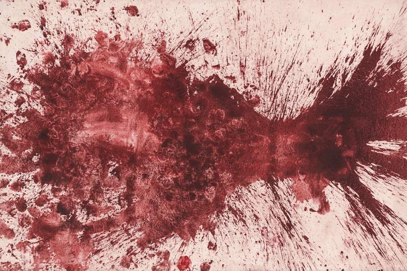 Hermann Nitsch, Senza titolo,1961. emulsione su tela,