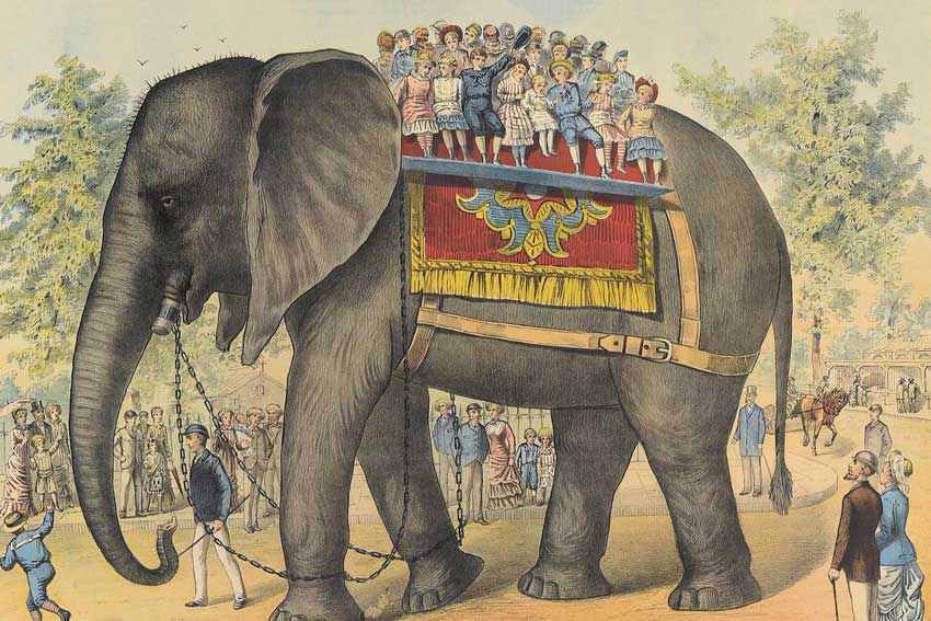 Poster pubblicitario del Ringling Bros. e Barnum & Bailey Circus (corsivo), 1883.Jumbo, "il più grande pachiderma del mondo", fu un elefante di savana africano, celebre attrazione degli zoo di Parigi e Londra, prima di essere acquistato dal Circo Barnum. Ritenuto uno degli elefanti più grandi di tutti i tempi, Jumbo divenne una celebrità negli Stati Uniti, al punto che il suo nome è ancora impiegato come segno di grandi dimensioni. Si ritiene inoltre che Jumbo sia stato l'ispiratore dell'elefantino Dumbo, protagonista dell'omonimo Classico d'animazione Disney.